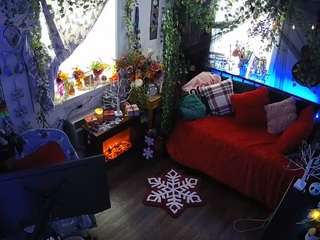 voyeurcam-veccasalt-01