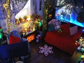 voyeurcam veccasalt 01