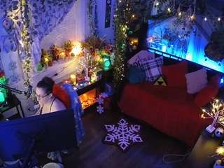 voyeurcam-veccasalt-01