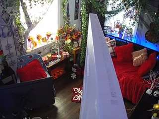 voyeurcam-veccasalt-01