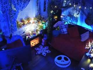 voyeurcam-veccasalt-01 chat