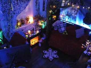 voyeurcam-veccasalt-01