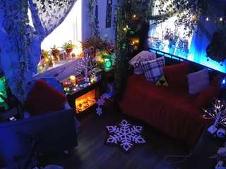 voyeurcam-veccasalt-01