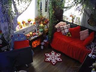 voyeurcam-veccasalt-01