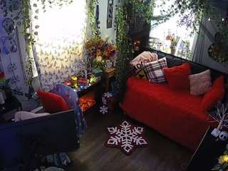 voyeurcam-veccasalt-01