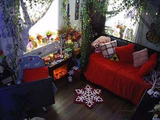 voyeurcam-veccasalt-01