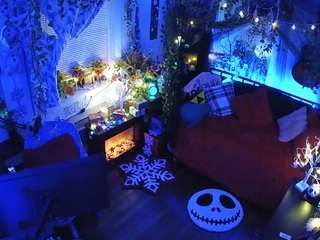 voyeurcam-veccasalt-01