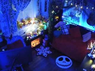 voyeurcam-veccasalt-01