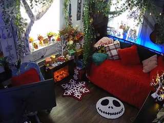 voyeurcam veccasalt 01