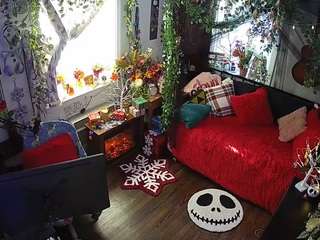 voyeurcam-veccasalt-01 chat