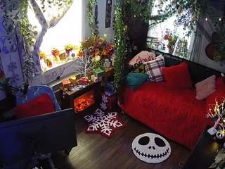 voyeurcam-veccasalt-01