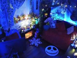 voyeurcam-veccasalt-01