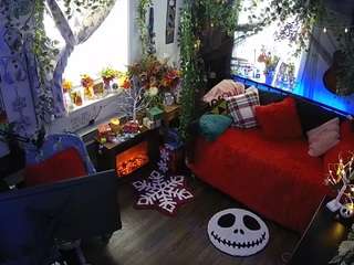 voyeurcam-veccasalt-... webcam