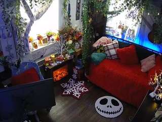 voyeurcam-veccasalt-01