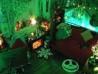 voyeurcam-veccasalt-01