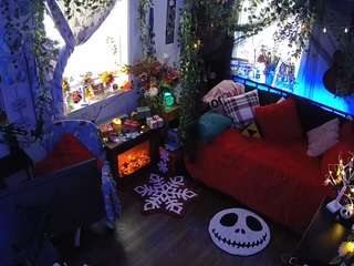 voyeurcam-veccasalt-01 Living room live webcam