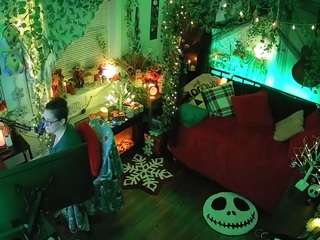 voyeurcam-veccasalt-01