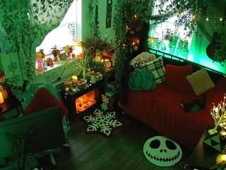 voyeurcam-veccasalt-01