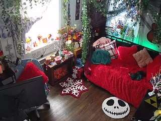 voyeurcam veccasalt 01