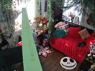 voyeurcam veccasalt 01