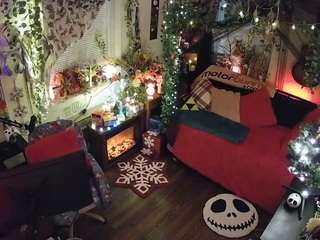 voyeurcam veccasalt 01