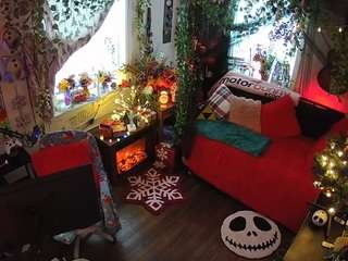 voyeurcam veccasalt 01