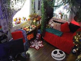 voyeurcam-veccasalt-01