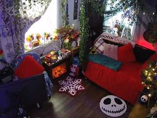 voyeurcam-veccasalt-01 chat