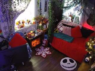 voyeurcam veccasalt 01