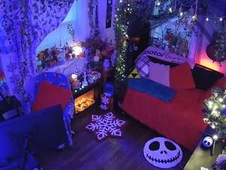 voyeurcam veccasalt 01