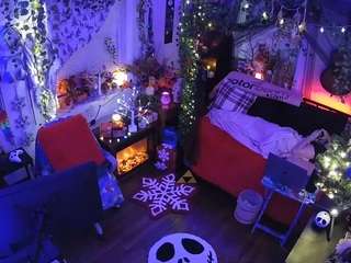 voyeurcam veccasalt 01