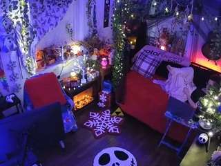 voyeurcam veccasalt 01