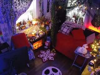 voyeurcam-veccasalt-01 chat