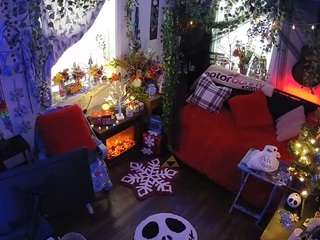 voyeurcam veccasalt 01