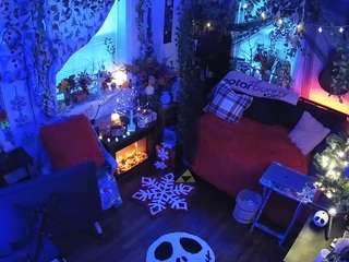 voyeurcam veccasalt 01