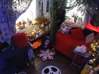 voyeurcam veccasalt 01