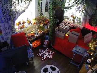 voyeurcam veccasalt 01