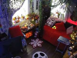 voyeurcam veccasalt 01