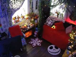 voyeurcam veccasalt 01