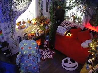 voyeurcam veccasalt 01