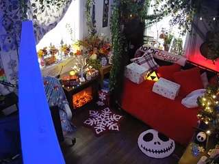 voyeurcam veccasalt 01