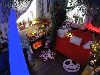 voyeurcam veccasalt 01