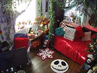 voyeurcam veccasalt 01