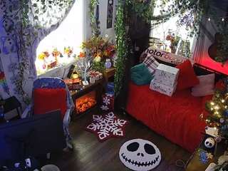 voyeurcam veccasalt 01