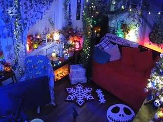 voyeurcam-veccasalt-01