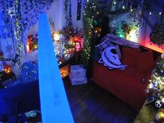 voyeurcam-veccasalt-01