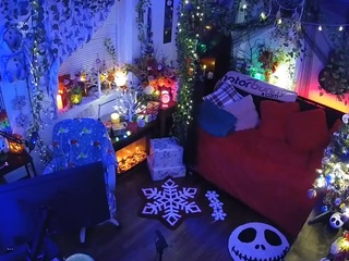 voyeurcam veccasalt 01