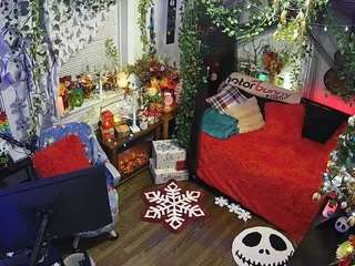 voyeurcam-veccasalt-01