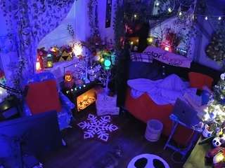 voyeurcam veccasalt 01