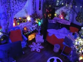 voyeurcam veccasalt 01